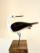 Load image into Gallery viewer, Oystercatcher On Plinth