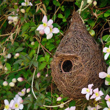 Load image into Gallery viewer, Giant Roost Pocket - Small Bird Nester