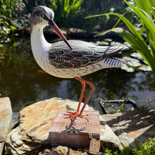 Load image into Gallery viewer, Archipelago Redshank Preening Wood Carving