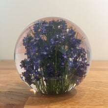 Load image into Gallery viewer, Botanical Forget Me Not Paperweight Made With Real Forget Me Not USA