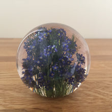 Load image into Gallery viewer, Botanical Forget Me Not Paperweight Made With Real Forget Me Not USA