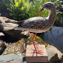 Load image into Gallery viewer, Archipelago Redshank Preening Wood Carving