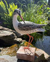 Load image into Gallery viewer, Archipelago Redshank Preening Wood Carving