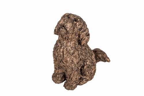 Harry Cockapoo - Dinner Please! Bronze Frith Sculpture By Adrain Tinsley