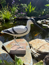 Load image into Gallery viewer, Archipelago Avocet Walking Wood Carving