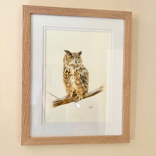 ORIGINAL EAGLE OWL PENCIL ART