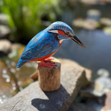 Load image into Gallery viewer, Archipelago Kingfisher Wood Carving