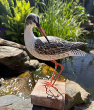 Load image into Gallery viewer, Archipelago Redshank Preening Wood Carving
