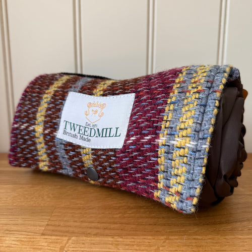 Tweedmill Recycled Walker Companion Picnic Rug with Waterproof Backing