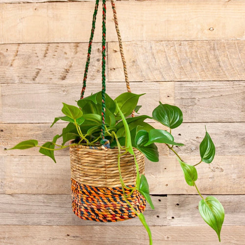 Artisan Hanging Plant Basket - Medium Cylindrical