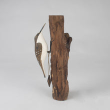 Load image into Gallery viewer, Hand Carved Wooden Treecreeper by Archipelago