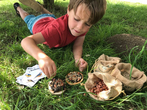 Make a Pizza for the Birds Kit
