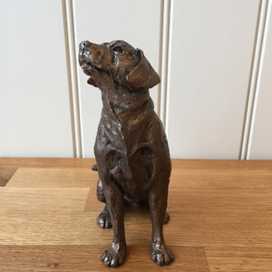 Harry Labrador Bronze Frith Sculpture By Thomas Meadows