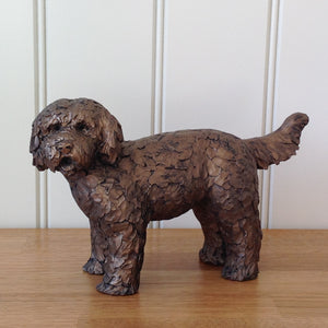 Button Labradoodle Bronze Frith By Adrian Tinsley