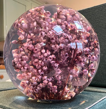 Load image into Gallery viewer, Botanical Heather Small Paperweight Made With Real Heather