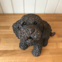 Load image into Gallery viewer, Frankie Cockapoo Large Bronze Frith Sculpture By Adrian Tinsley