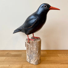 Load image into Gallery viewer, Archipelago Chough