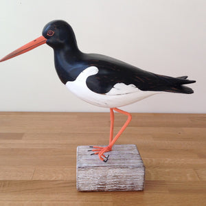 Archipelago Oystercatcher Wood Carving
