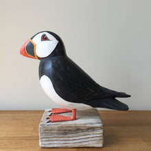 Load image into Gallery viewer, Archipelago Puffin Straight Wood Carving