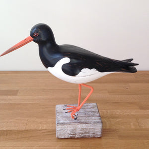 Archipelago Oystercatcher Wood Carving