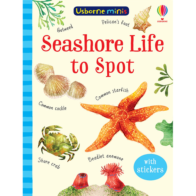 Seashore Life to Spot - Usborne Minis