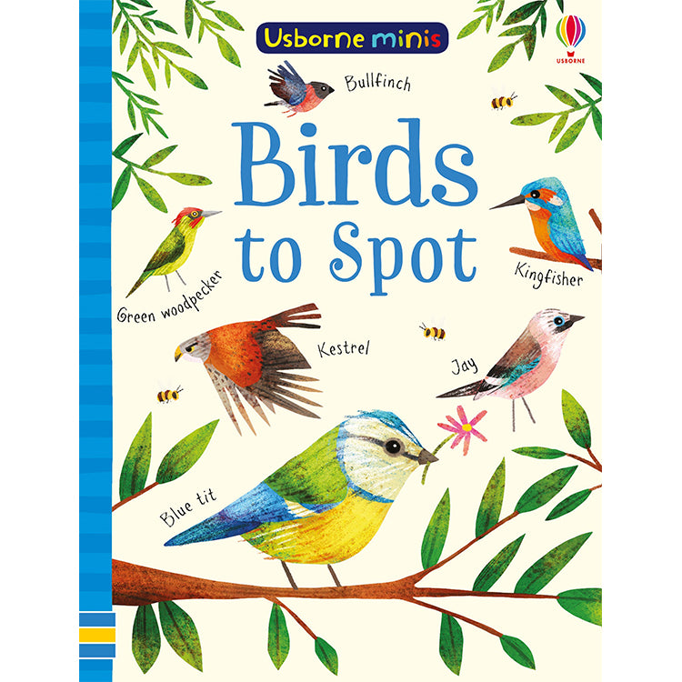 Birds to Spot - Usborne Minis