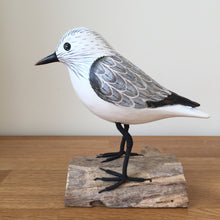Load image into Gallery viewer, Archipelago Sanderling Standing Wood Carving