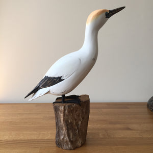 Archipelago Gannet Looking Up Wood Carving