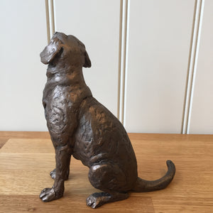 Harry Labrador Bronze Frith Sculpture By Thomas Meadows
