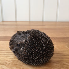 Load image into Gallery viewer, Zippo Baby Hedgehog Asleep Bronze Frith Sculpture By Thomas Meadows