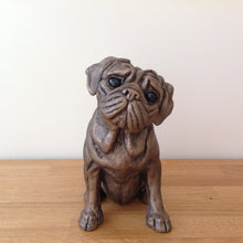 Load image into Gallery viewer, Rocky Pug Bronze Frith Sculpture By Harriet Dunn