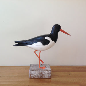 Archipelago Oystercatcher Wood Carving