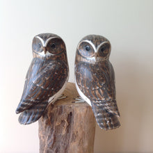 Load image into Gallery viewer, Archipelago Double Little Owl Wood Carving