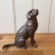 Load image into Gallery viewer, Harry Labrador Bronze Frith Sculpture By Thomas Meadows