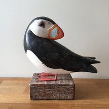Load image into Gallery viewer, Archipelago Puffin Preening Wood Carving