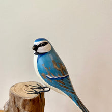 Load image into Gallery viewer, Archipelago Blue Tit