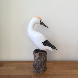 Archipelago Small Gannet Preening Wood Carving