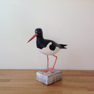 Archipelago Oystercatcher Wood Carving