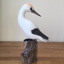 Load image into Gallery viewer, Archipelago Small Gannet Preening Wood Carving