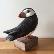 Load image into Gallery viewer, Archipelago Puffin Preening Wood Carving