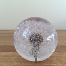Load image into Gallery viewer, Botanical Dandelion Small Paperweight Made With Real Dandelion