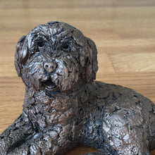 Load image into Gallery viewer, Koko Labradoodle  Bronze Frith Sculpture By Adrian Tinsley
