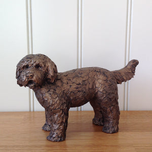 Button Labradoodle Bronze Frith By Adrian Tinsley