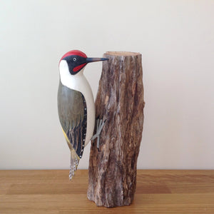 Archipelago Green Woodpecker Wood Carving