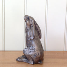 Load image into Gallery viewer, Hilda Hare Bronze Frith Sculpture By Paul Jenkins
