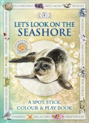 Let's Look on the Seashore: A Spot, Stick, Colour & Play Book