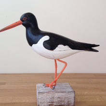 Load image into Gallery viewer, Archipelago Oystercatcher Wood Carving