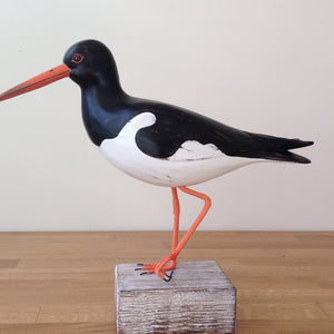 Archipelago Oystercatcher Wood Carving