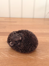 Load image into Gallery viewer, Zippo Baby Hedgehog Asleep Bronze Frith Sculpture By Thomas Meadows