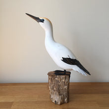 Load image into Gallery viewer, Archipelago Gannet Looking Up Wood Carving